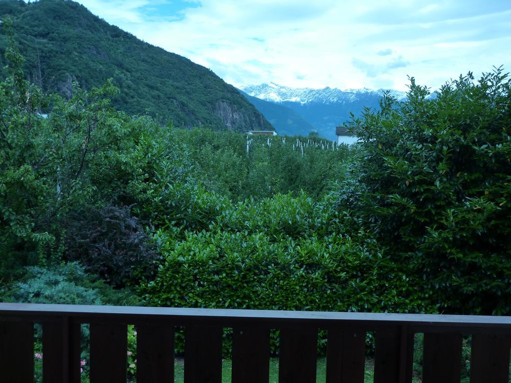 Hotel Garni Rebhof Nalles Esterno foto